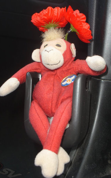 car monkey red soft toy