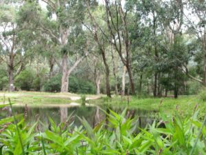 lanscape at hanging rock