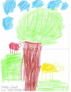 prep drawing sheep and goat