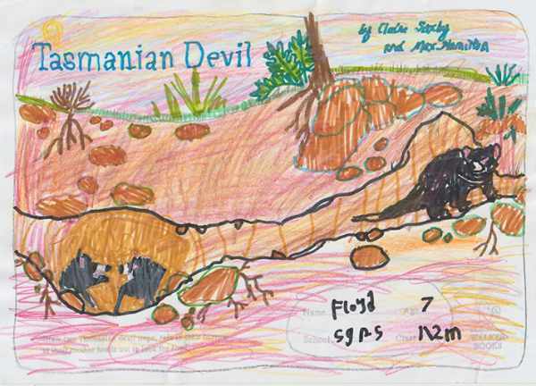Tasmanian Devil picture by Floyd