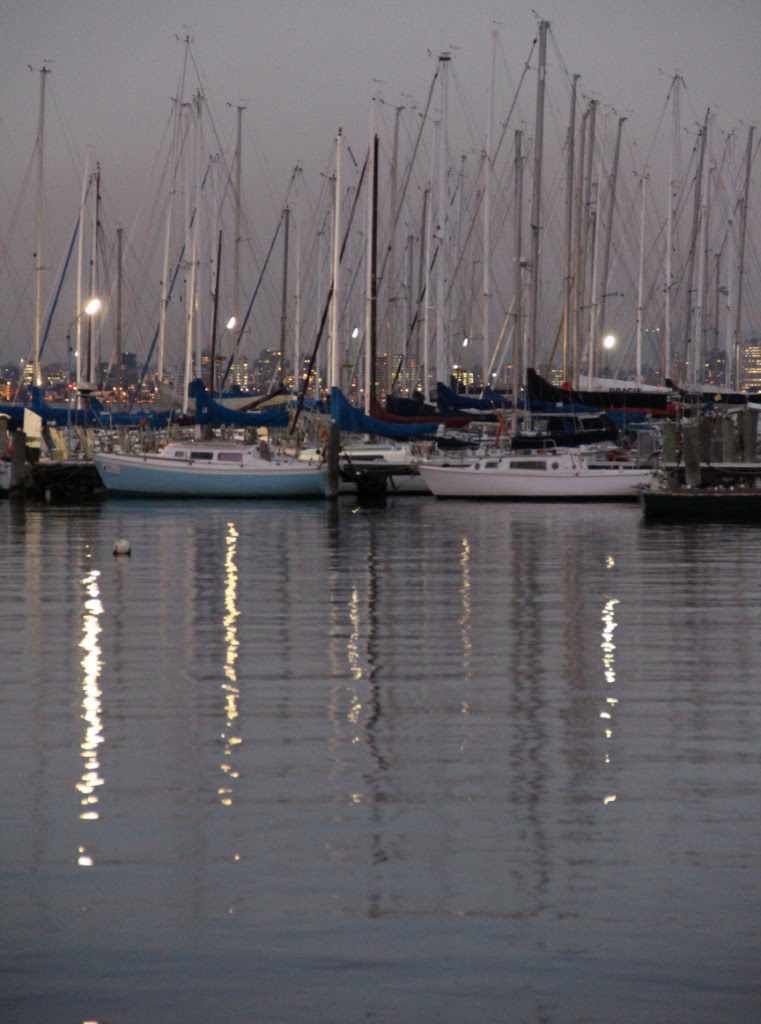 boats in dock at williamstown at dusk